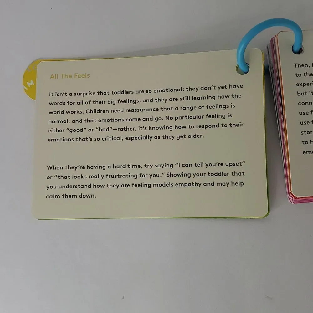 Lovevery Play Guide from The Companion Play Kit 22-24 Months